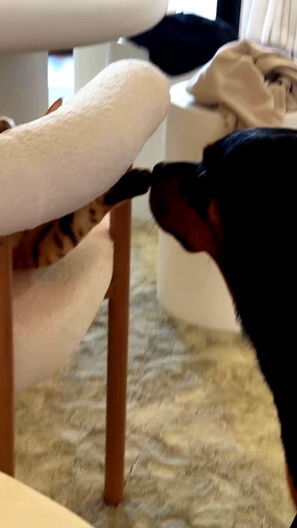 olivia.mathers archive video preview