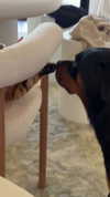 olivia.mathers Altpins Profile Picture