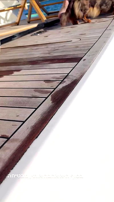 biton__adi biton__adi archive video