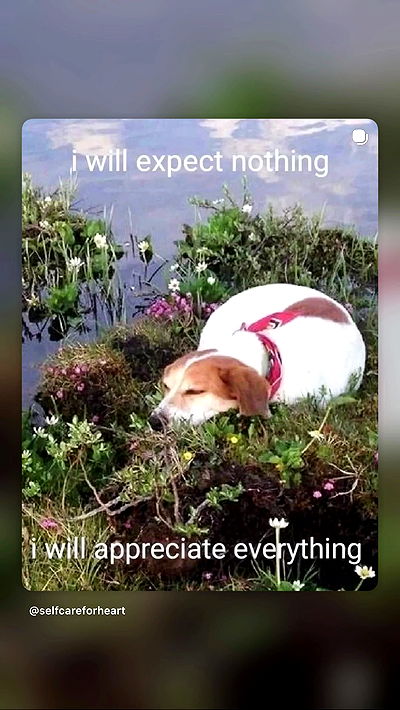 strawberryshanz strawberryshanz archive video