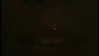cannonstheband Altpins Profile Picture