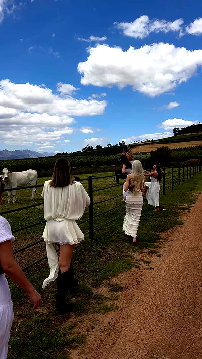 taylor.creeden taylor.creeden archive video