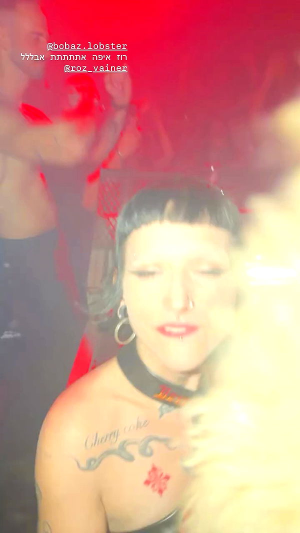 strawberryshans archive video preview