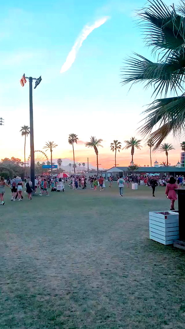 taylorballarddd archive video preview