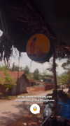 orman.mariee Altpins Profile Picture