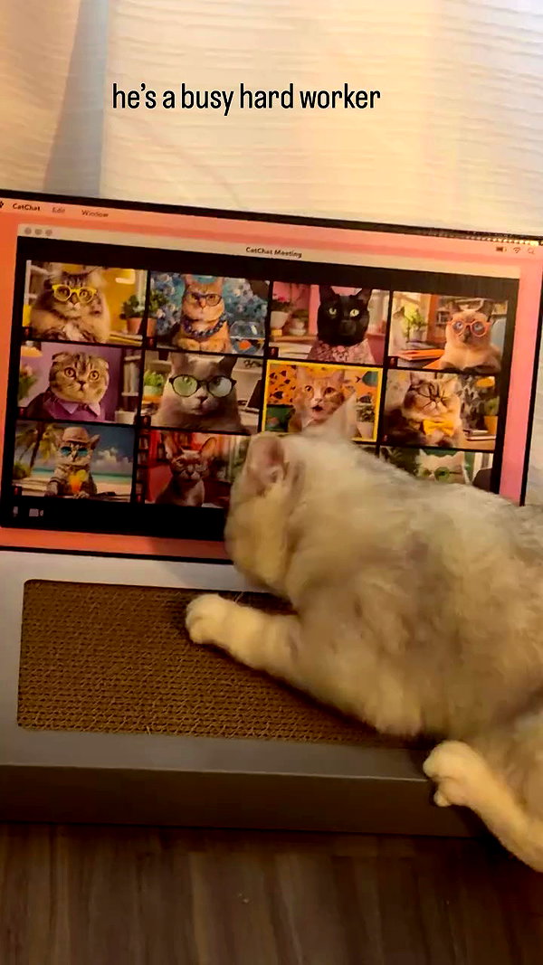 svgarbvnnies archive video preview
