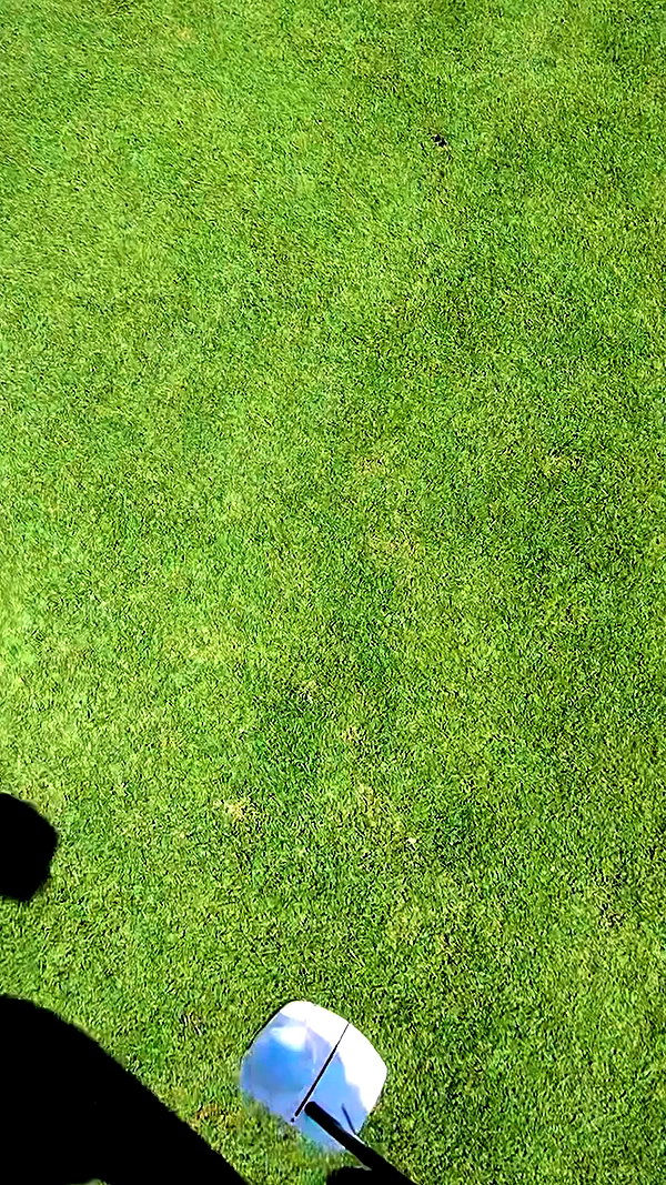 pingtour archive video preview