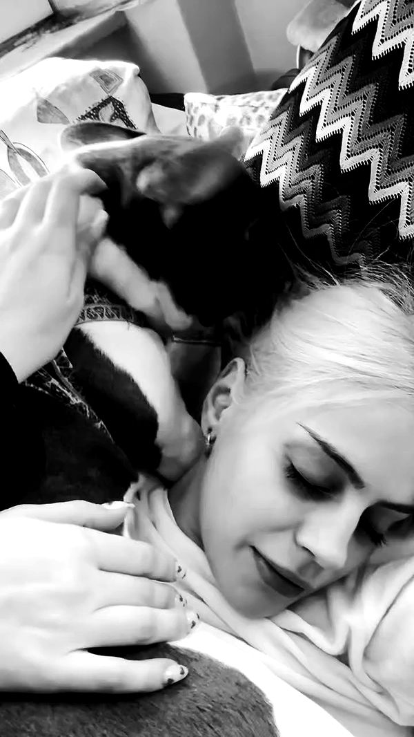 danaikontodiou archive video preview