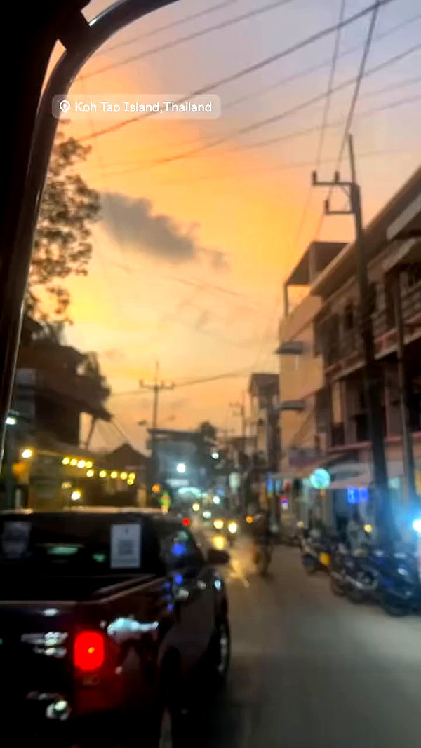 tirtza_cohen archive video preview