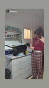 feelbetterinmysweater Altpins Profile Picture