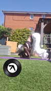 nylthria Altpins Profile Picture