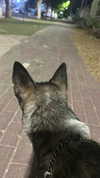 yaarat11 Altpins Profile Picture