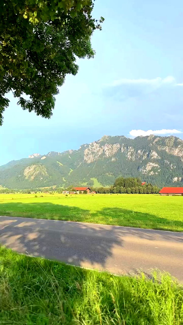 swfx_real archive video preview