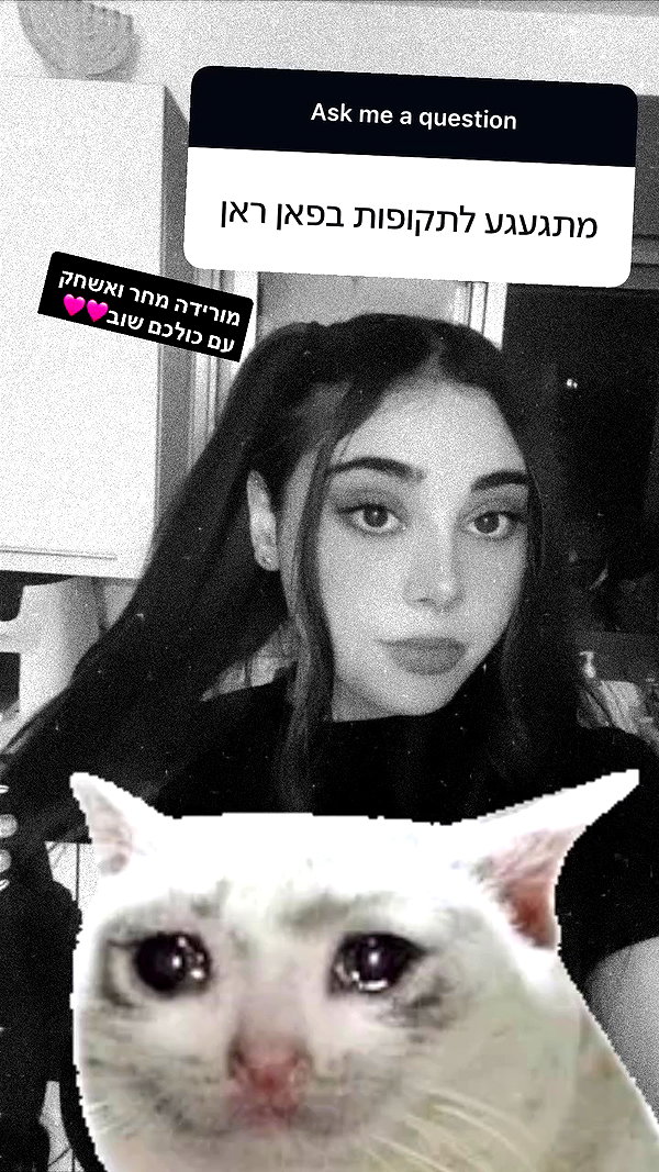 onlmeow archive video preview