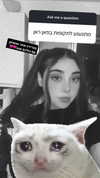 onlmeow Altpins Profile Picture
