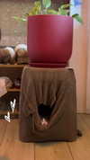 evasela__ Altpins Profile Picture