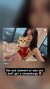 9bitez Altpins Profile Picture