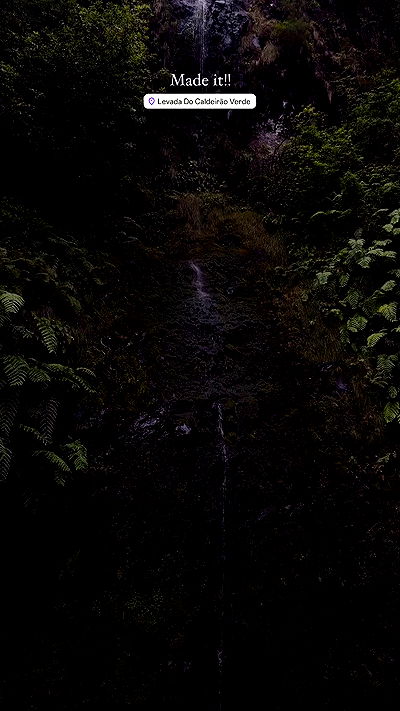 taylor.creeden taylor.creeden archive video