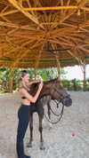 taylor.creeden Altpins Profile Picture