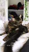 evasela__ Altpins Profile Picture