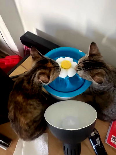 mishel116 mishel116 archive video