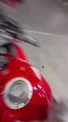 kaniiberry Altpins Profile Picture