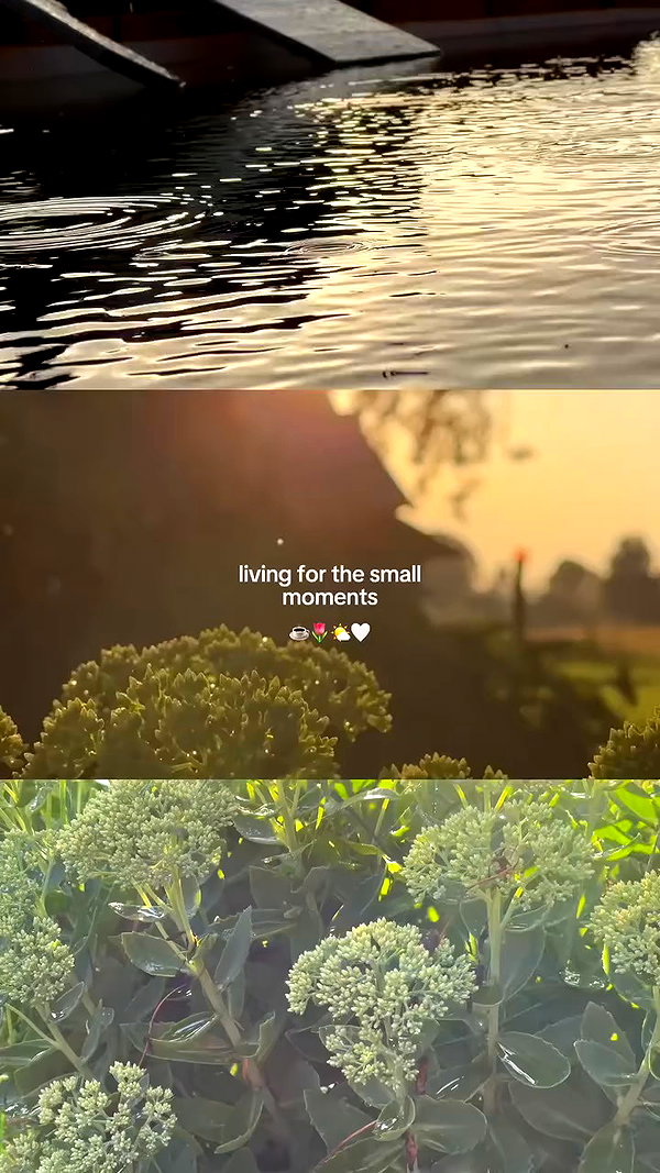 artsad.mozyr archive video preview