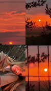 miikheeva_stasiiya Altpins Profile Picture