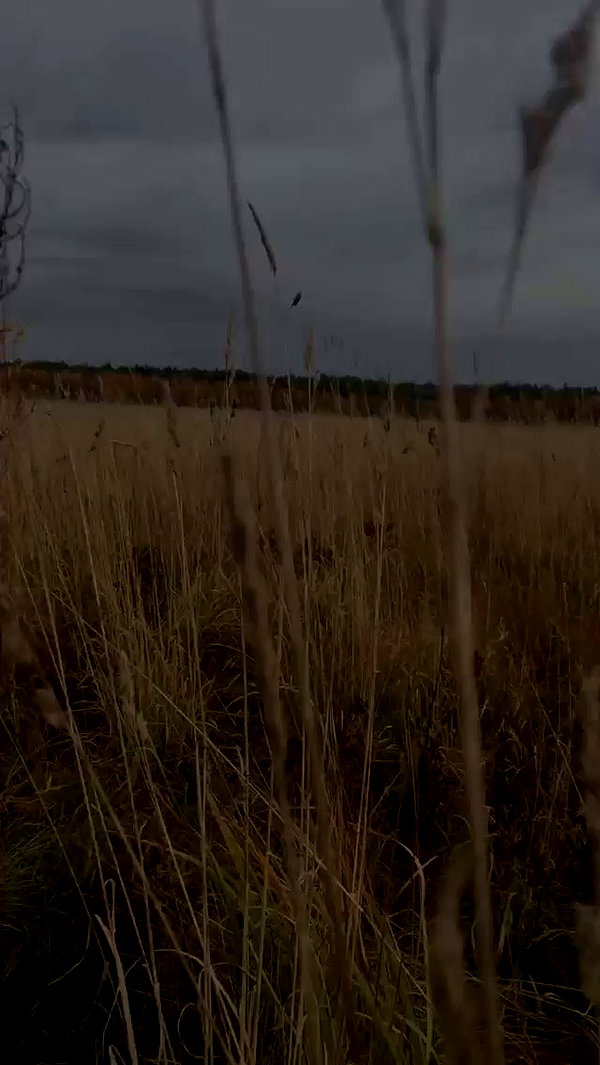 danafetishistova archive video preview