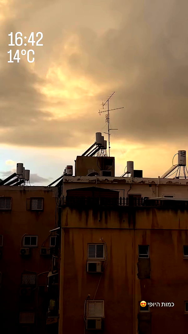 _.shelichka._ archive video preview