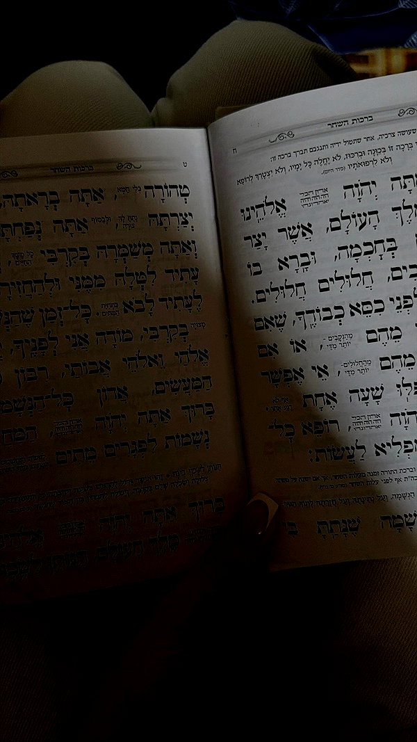_._dianush._ archive video preview