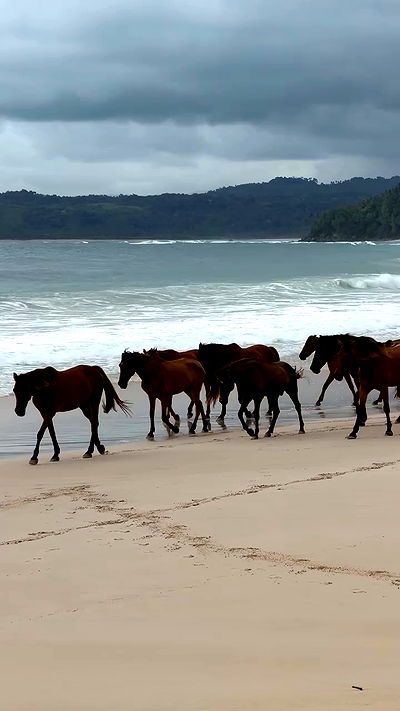 taylor.creeden taylor.creeden archive video