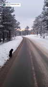 marijana_t__ Altpins Profile Picture