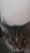 mirekyarahire Altpins Profile Picture