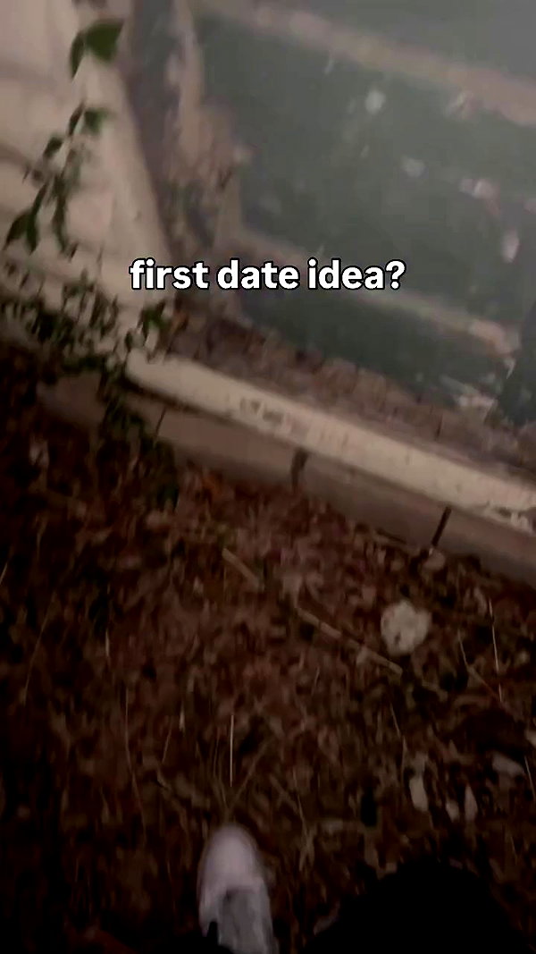 pixelpuppi archive video preview