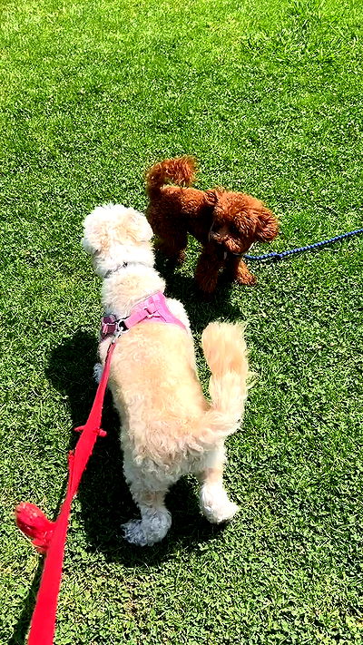 feelbetterinmysweater feelbetterinmysweater archive video