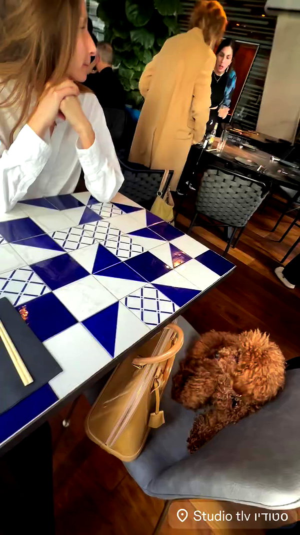 lubensca archive video preview