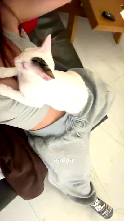 natalllluli natalllluli archive video