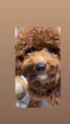 kteaworld Altpins Profile Picture