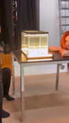 nicolekidman Altpins Profile Picture