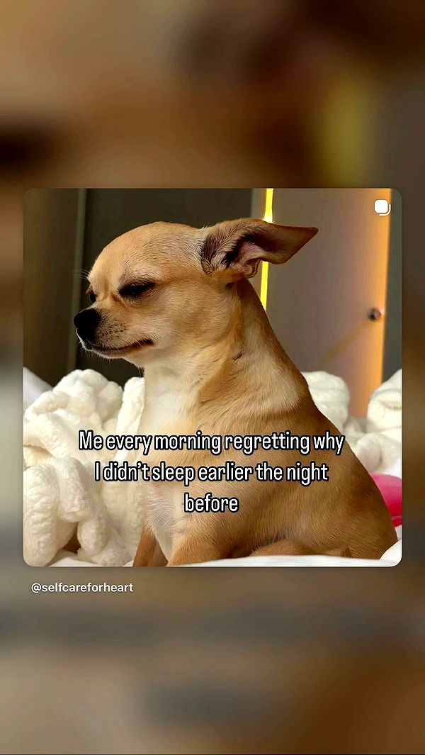 danaikontodiou archive video preview