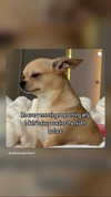 danaikontodiou Altpins Profile Picture