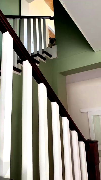 nyityam nyityam archive video