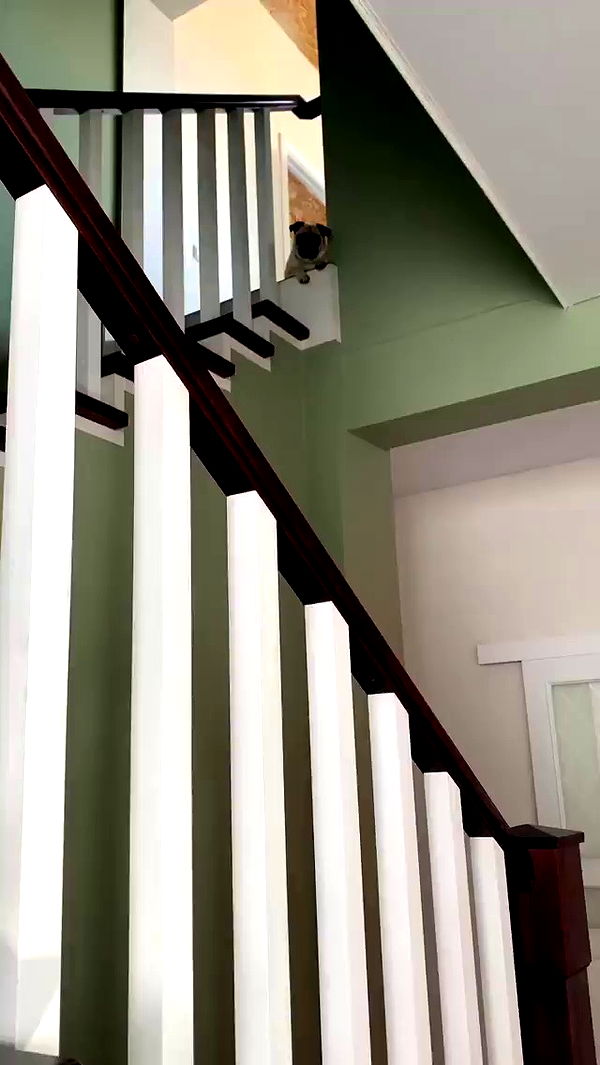 nyityam archive video preview