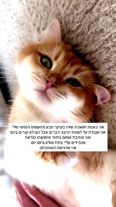 itsilanosh itsilanosh archive video