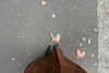 melsaimc Altpins Profile Picture