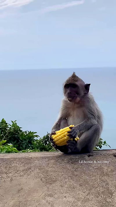 taylor.creeden taylor.creeden archive video