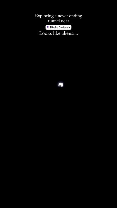 taylor.creeden taylor.creeden archive video