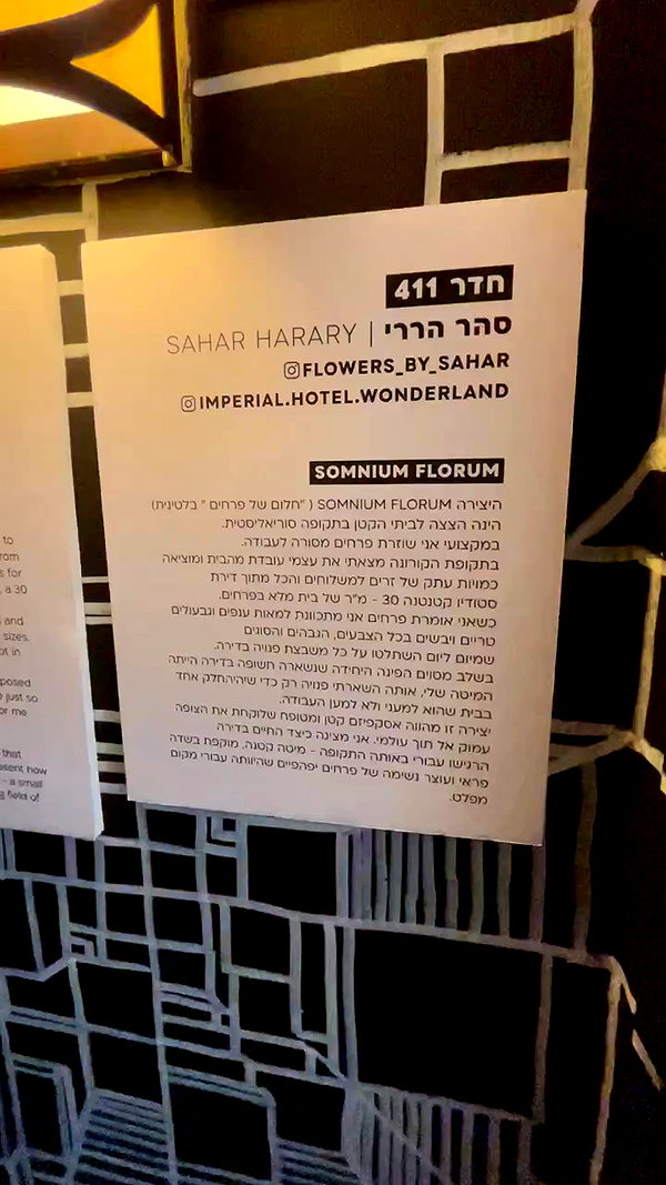 shakeddri archive video preview