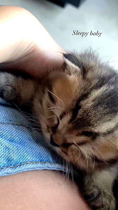 taylor.creeden taylor.creeden archive video